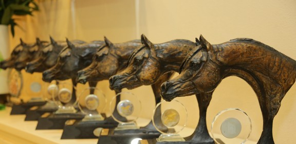 Dubai International Horse Fair - 2016 (DWTC)